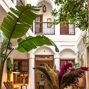 Dar Beldia And Marrakesh